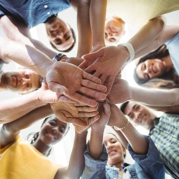 Participación social en salud